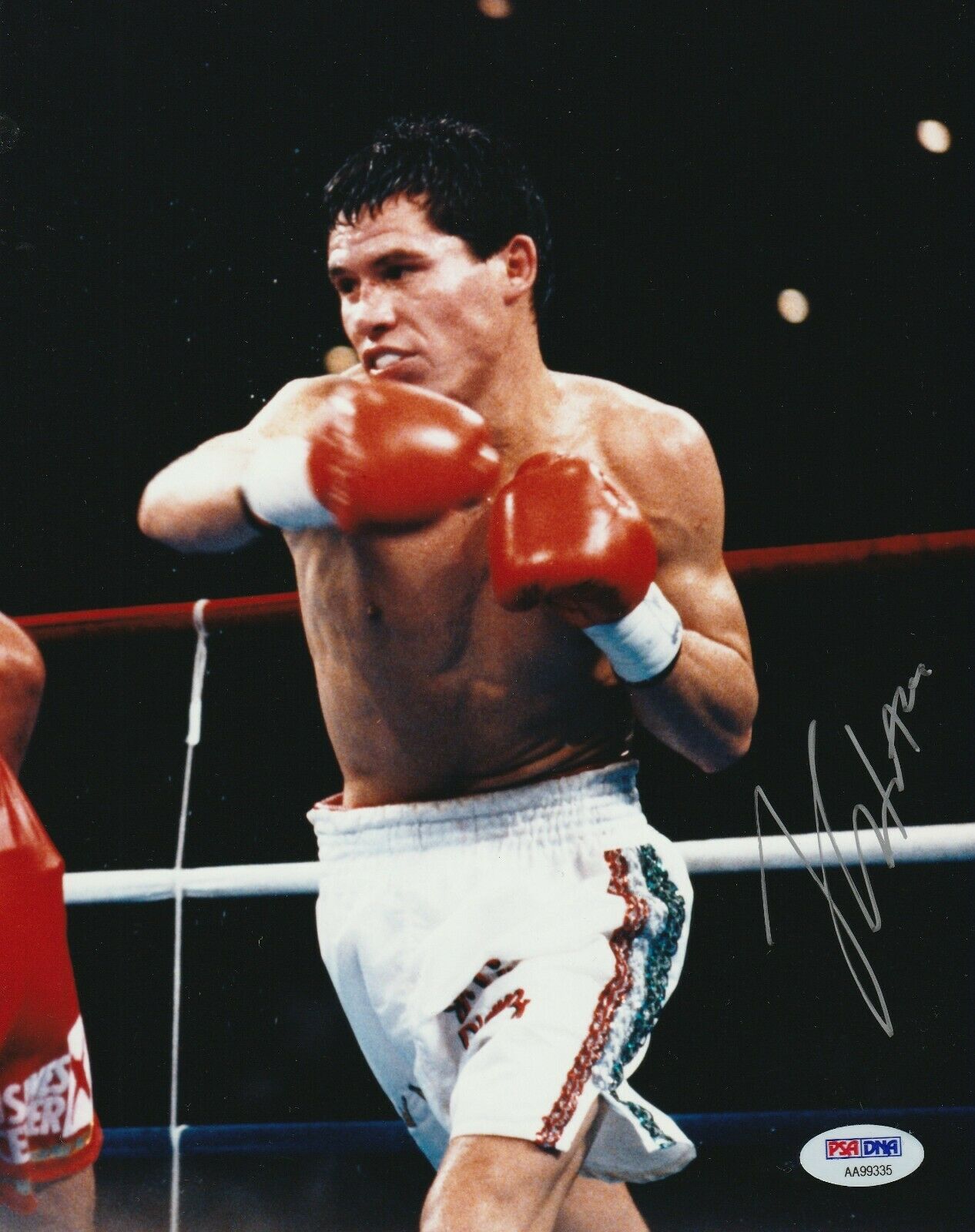 JULIO CESAR CHAVEZ Signed 8x10 In The Ring PHOTO W PSA COA Autographia