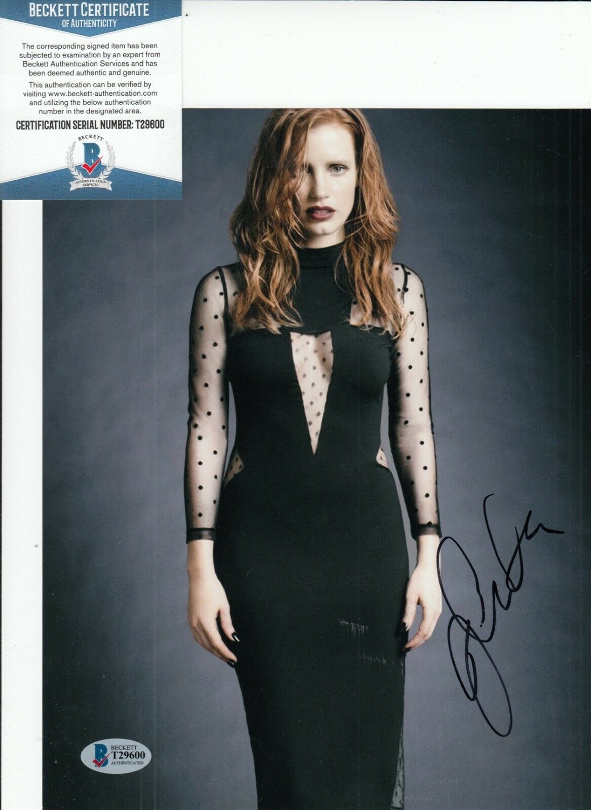 Jessica Chastain Signed Mollys Game Sexy Actress Movie 8x10 Beckett T29600 Collectible 