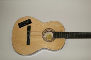 TWENTY ONE PILOTS SIGNED AUTOGRAPH FENDER BRAND ACOUSTIC GUITAR -TYLER JOSEPH +1  COLLECTIBLE MEMORABILIA