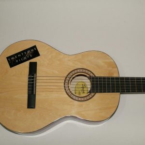 TWENTY ONE PILOTS SIGNED AUTOGRAPH FENDER BRAND ACOUSTIC GUITAR -TYLER JOSEPH +1 COLLECTIBLE MEMORABILIA