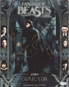 “FANTASTIC BEASTS AND WHERE TO FIND THEM” CAST AUTOGRAPH SIGNED 11×14 PHOTO C  COLLECTIBLE MEMORABILIA