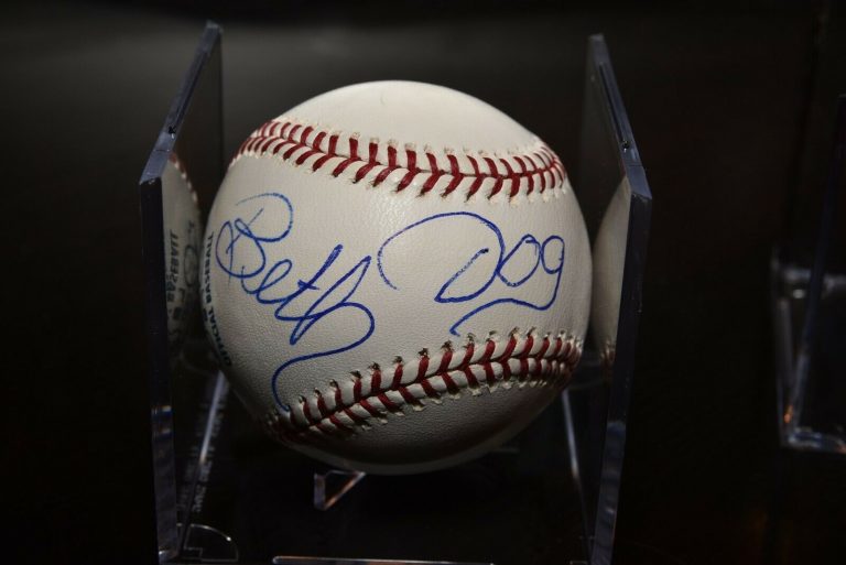 DOG THE BOUNTY HUNTER AND BETH CHAPMAN SIGNED AUTOGRAPHED RAWLINGS BASEBALL  COLLECTIBLE MEMORABILIA
