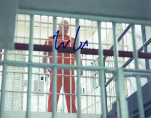 VINCENT D’ONOFRIO SIGNED 8X10 PHOTO MARVEL DAREDEVIL LAW AND ORDER AUTOGRAPH B  COLLECTIBLE MEMORABILIA