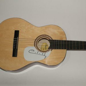 BILLIE EILISH SIGNED AUTOGRAPH FENDER BRAND ACOUSTIC GUITAR - BURY A FRIEND COLLECTIBLE MEMORABILIA