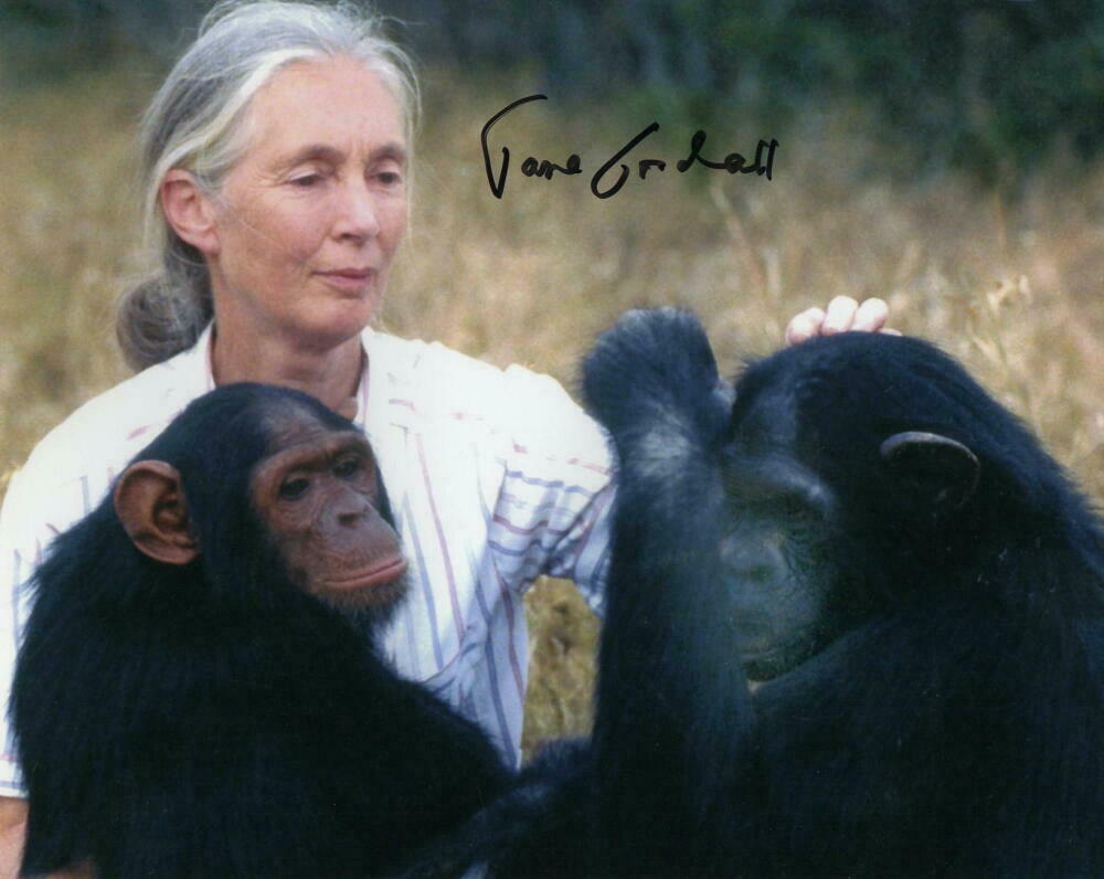 JANE GOODALL SIGNED AUTOGRAPH 8X10 PHOTO - INSTITUTE, CHIMPANZEE EXPERT ...