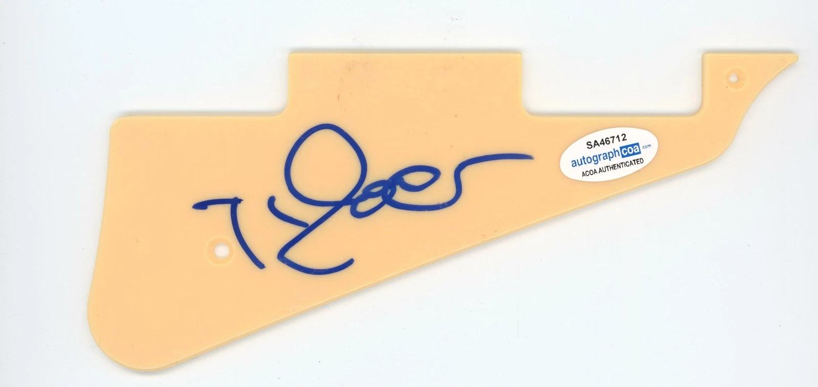 TYLER GLENN “NEON TREES” AUTOGRAPH SIGNED LES PAUL PICKGUARD ACOA COLLECTIBLE MEMORABILIA