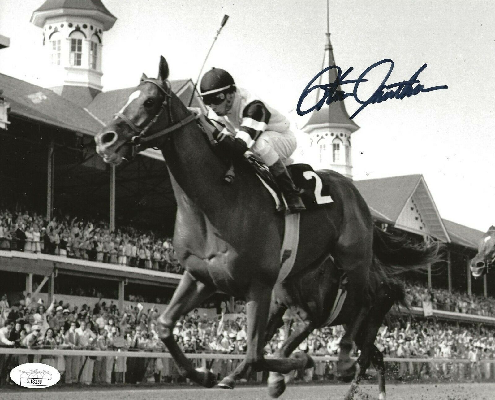 Steve Cauthen Triple Crown Horse Jockey signed 8x10 photo Affirmed 5 ...