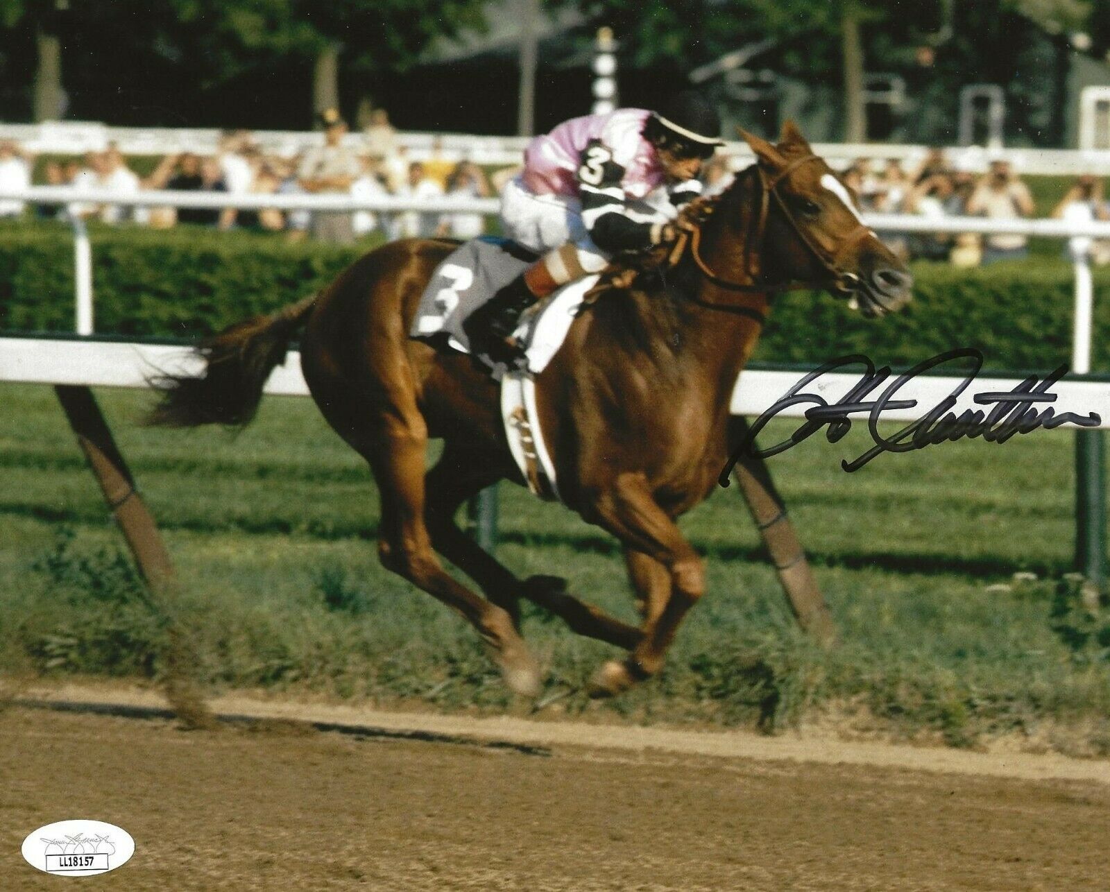 Steve Cauthen Triple Crown Horse Jockey signed 8x10 photo Affirmed 7 ...