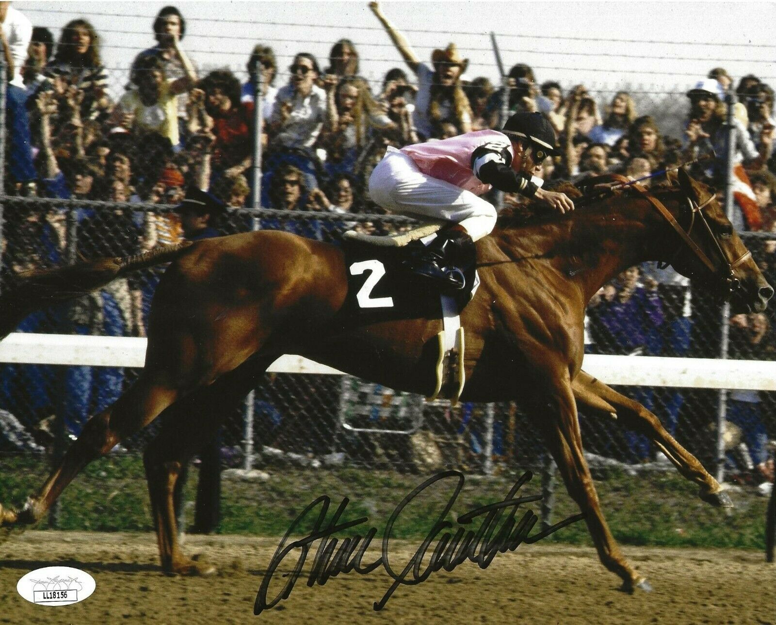 Steve Cauthen Triple Crown Horse Jockey signed 8x10 photo Affirmed 8 ...