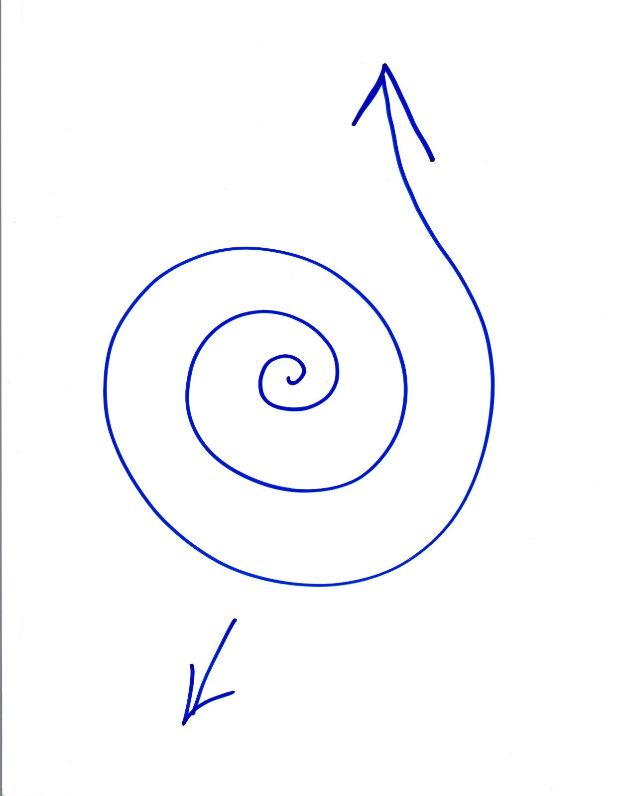 FRED ARMISEN HAND DRAWN SKETCH SNL PORTLANDIA NOT SIGNED COA VD COLLECTIBLE MEMORABILIA