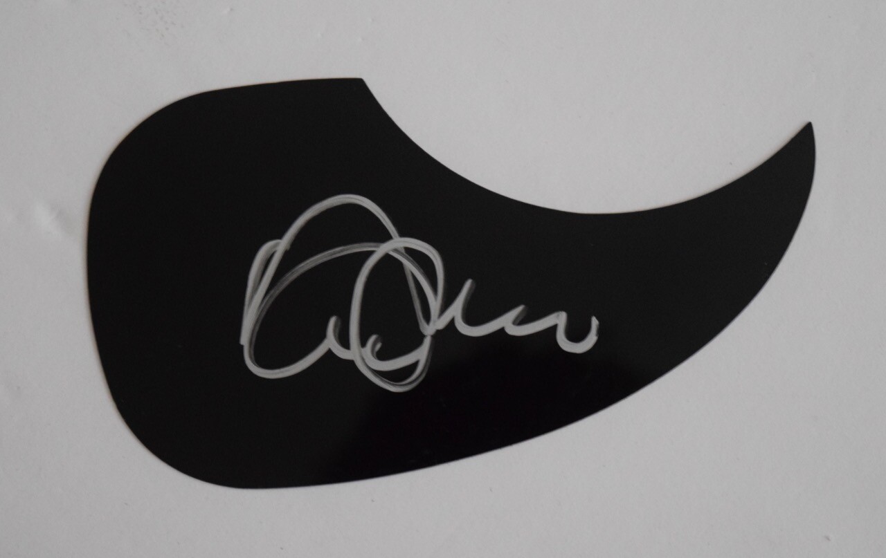 David Marks Signed Autographed Acoustic Guitar Pickguard THE BEACH BOYS COA
