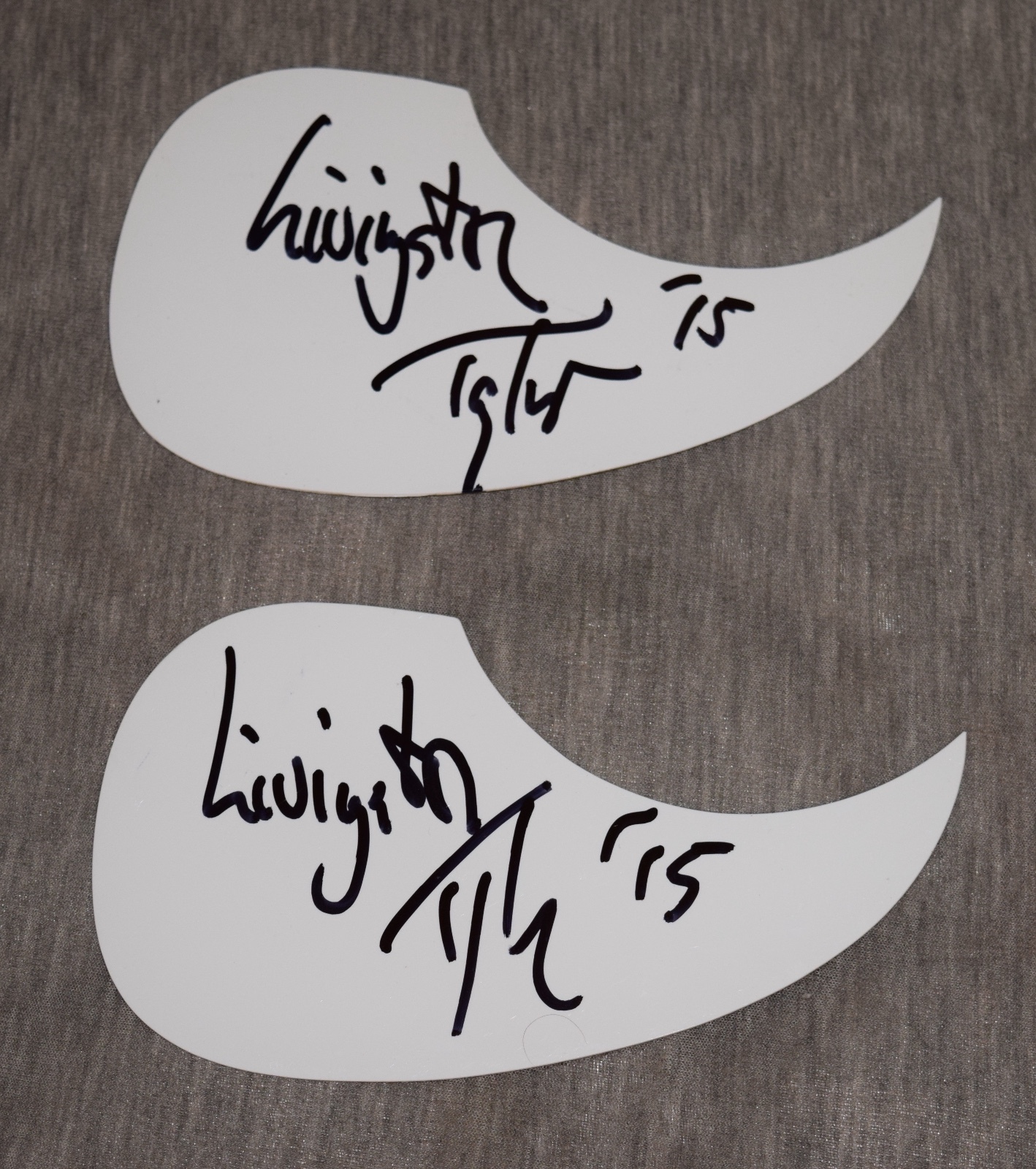 Livingston Taylor Signed Autographed Acoustic Guitar Pickguard Folk Singer James