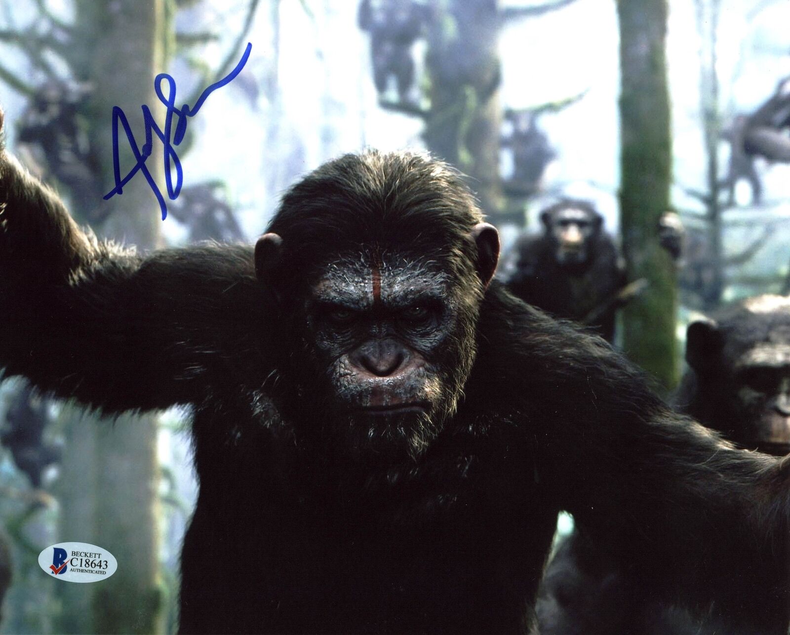 Andy Serkis Planet of the Apes Authentic Signed 8X10 Photo BAS #C18643 ...