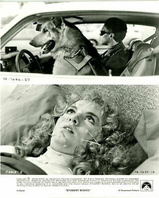 Angela Bressler Student Bodies Original Press 8X10 Photo | Autographia