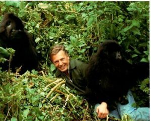 DAVID ATTENBOROUGH SIGNED AUTOGRAPHED PHOTO COLLECTIBLE MEMORABILIA