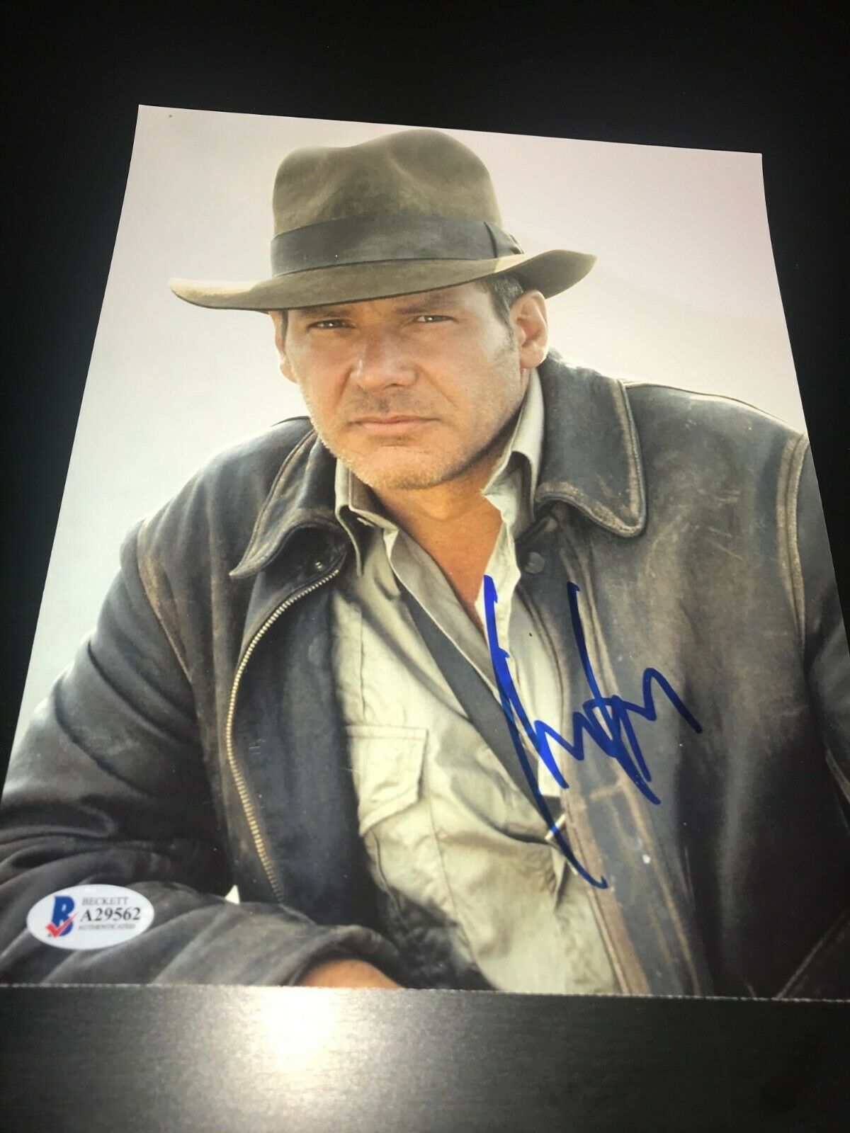 Harrison Ford Signed Autograph 8x10 Photo Indiana Jones Raiders Lost