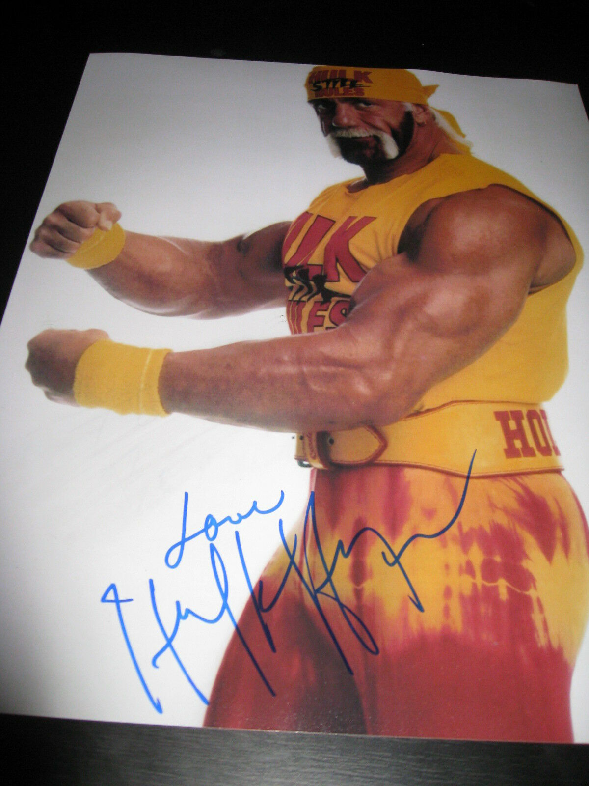 HULK HOGAN SIGNED 11x14 PHOTO WWF WCW HOLLYWOOD HOGAN PERSON COA D - Autographia