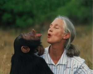 JANE GOODALL SIGNED AUTOGRAPHED PHOTO COLLECTIBLE MEMORABILIA