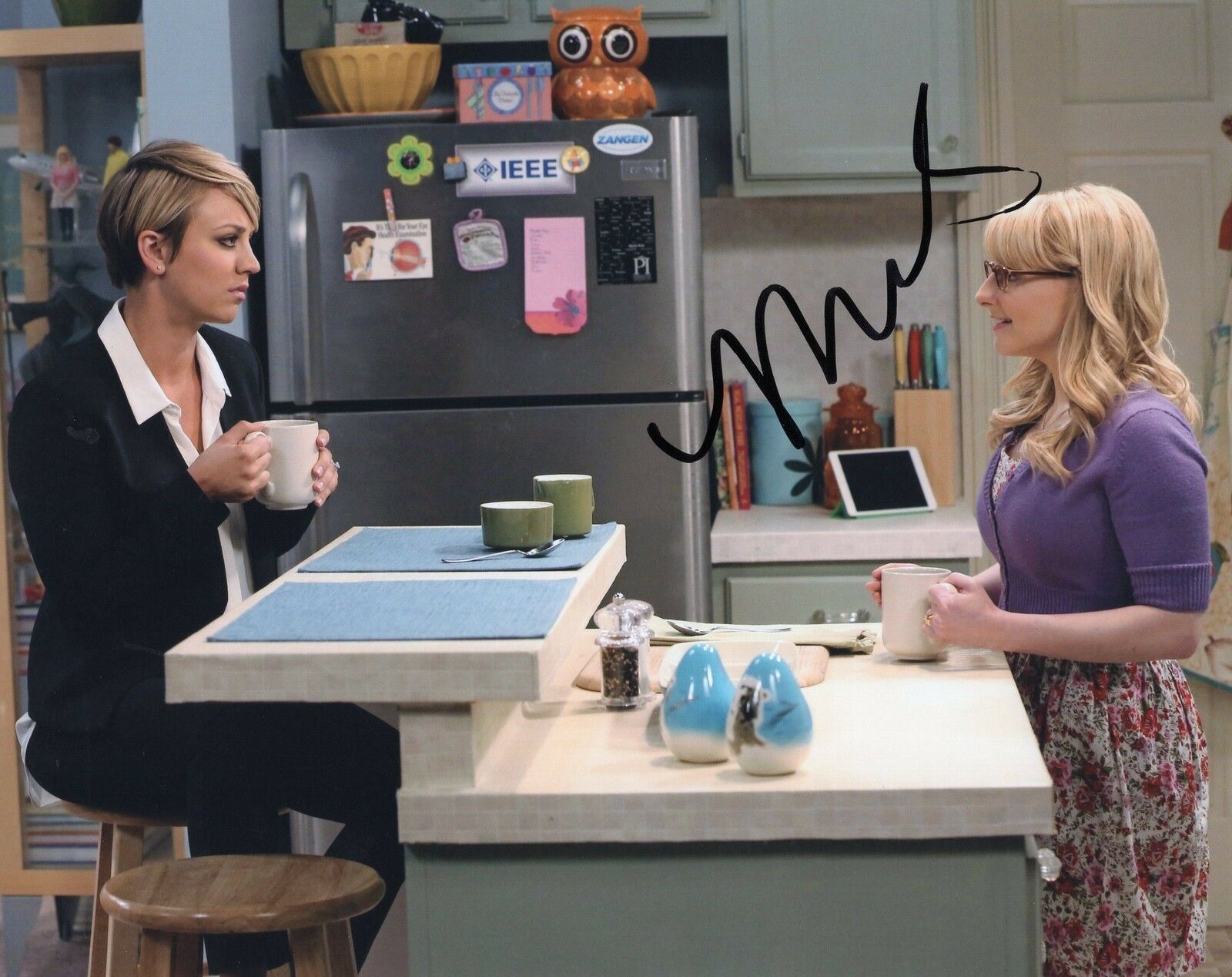 Melissa Rauch The Big Bang Theory Signed 8x10 Photo W Coa Collectible Memorabilia Autographia