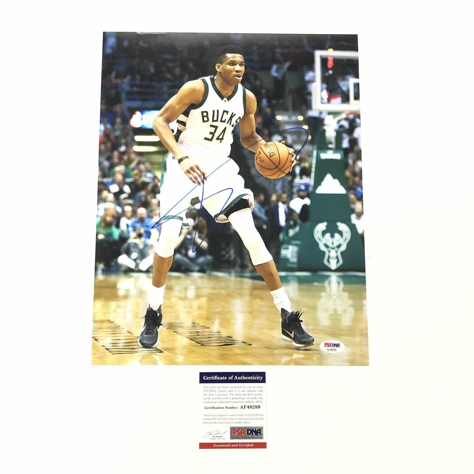 Giannis Antetokounmpo Signed 11x14 Photo PSA/DNA Milwaukee Bucks ...