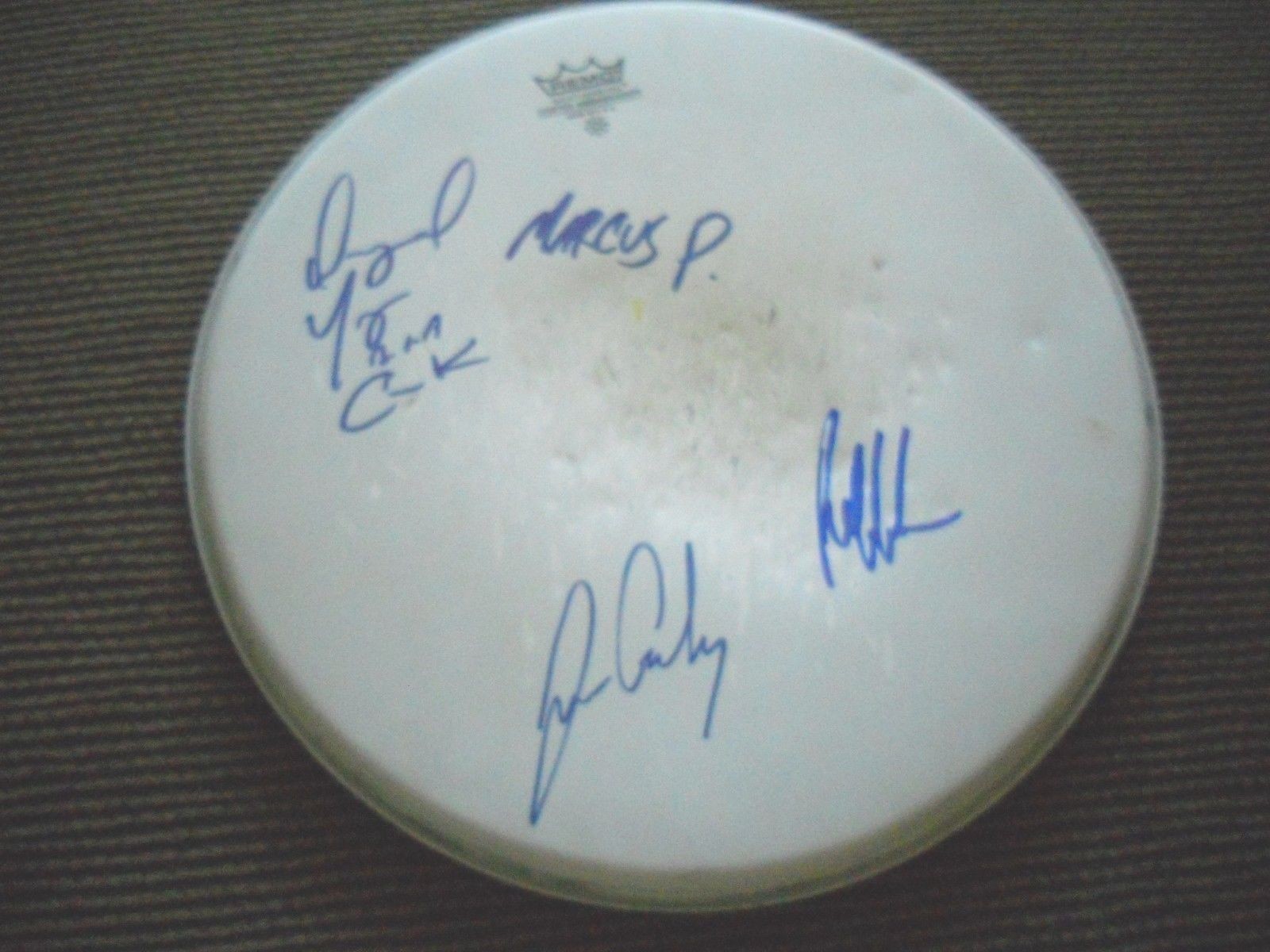 ROBERT RANDOLPH & FAMILY BAND AUTOGRAPHED SIGNED 14″ DRUMHEAD PSA GUARANTEED #2 COLLECTIBLE MEMORABILIA