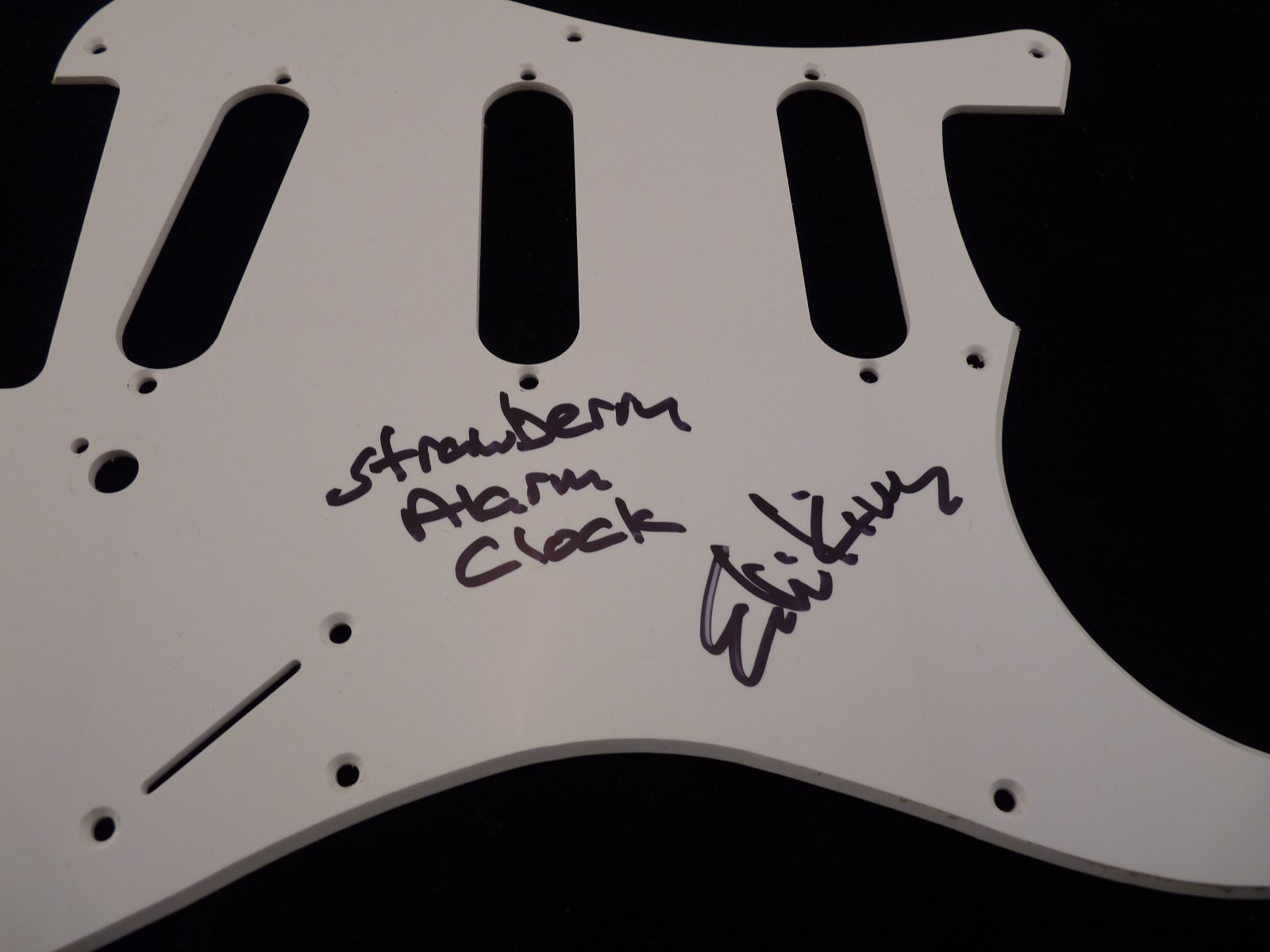 Ed King Strawberry Alarm Clock Autograph Signed Guitar Pickguard PSA Guaranteed