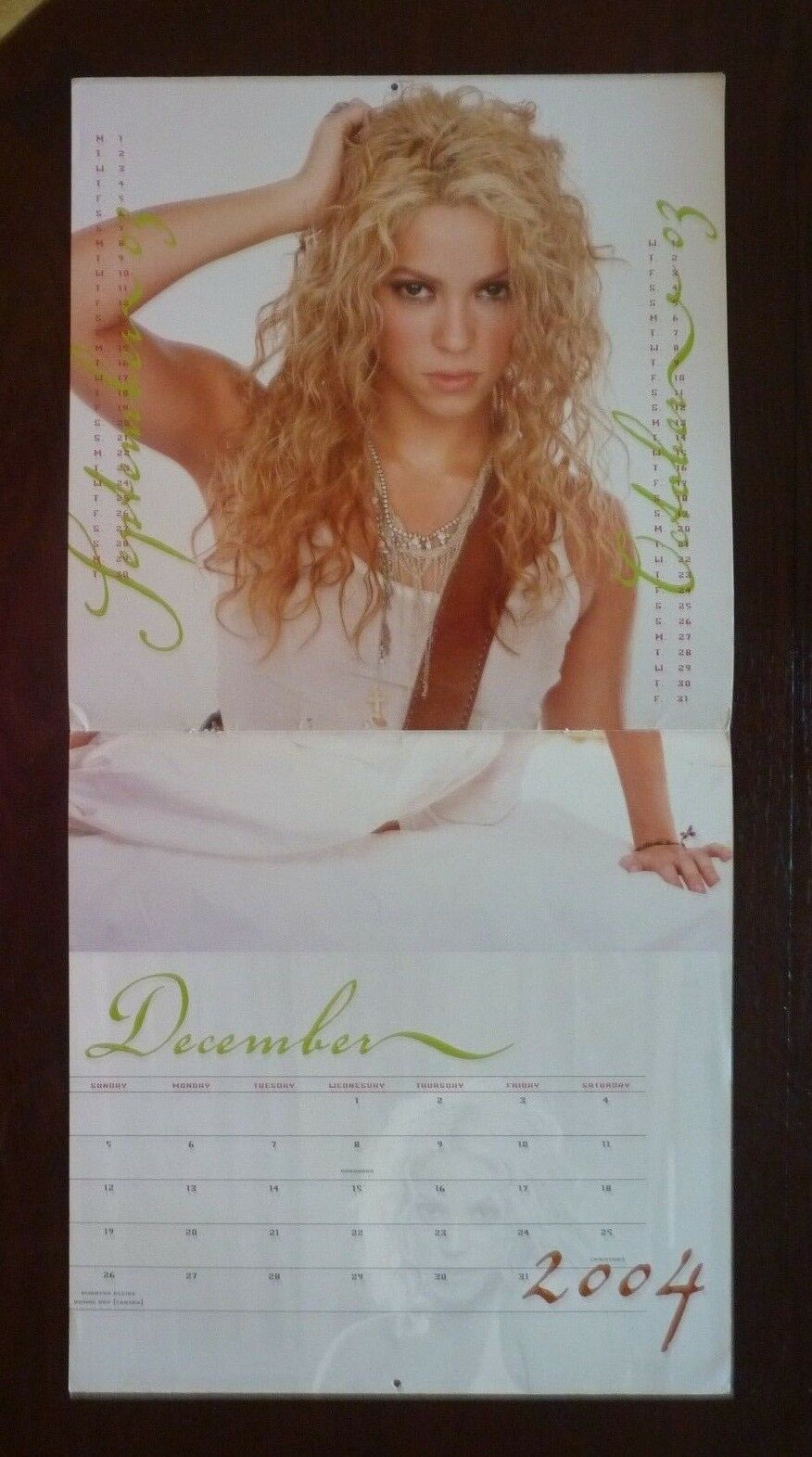 Shakira Calendar Cover ONLY 2004 LP Record Photo Flat 12x24 Poster