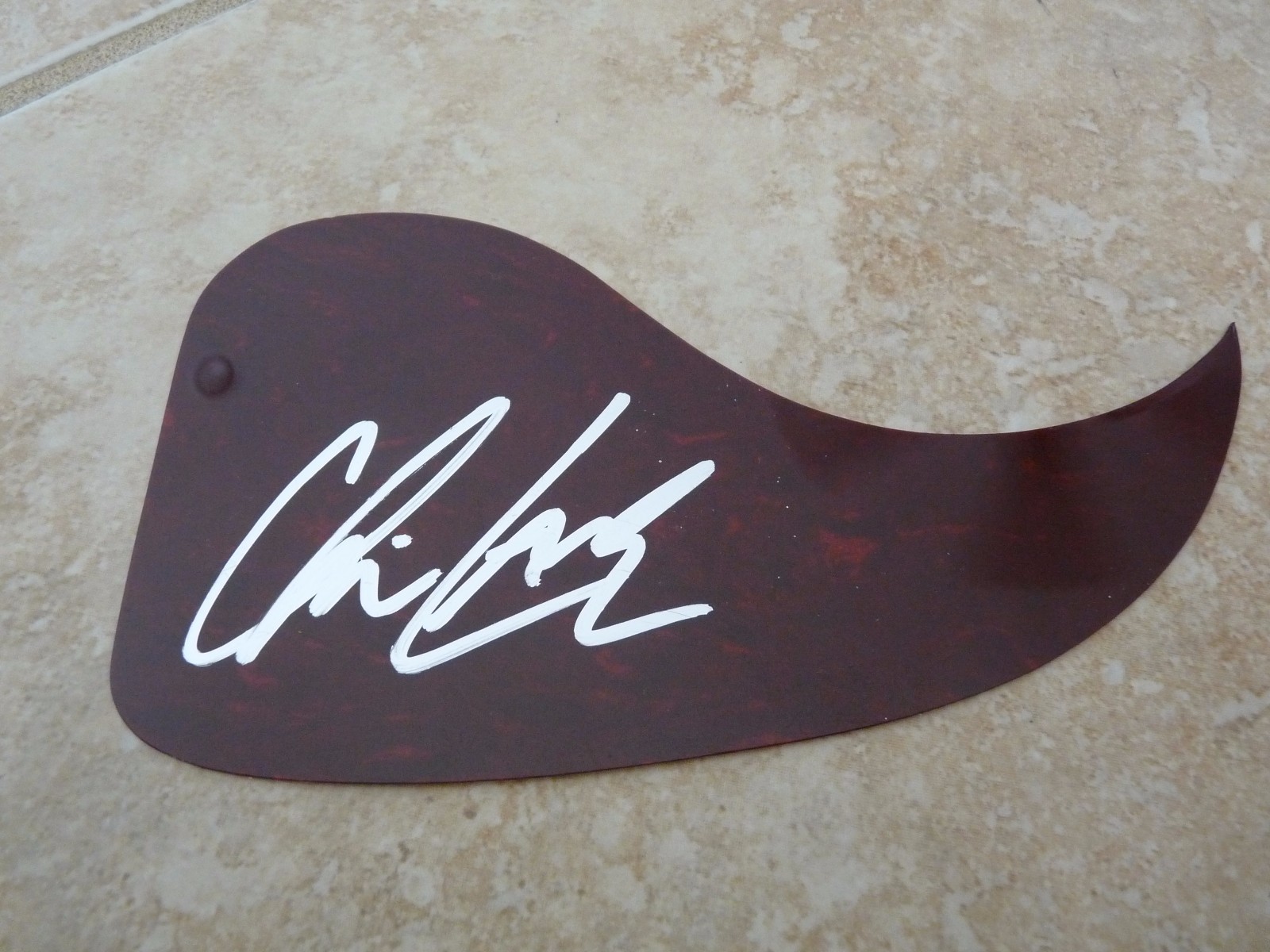 CHRIS LANE SEXY AUTOGRAPHED SIGNED GUITAR PICKGUARD PSA GUARANTEED COLLECTIBLE MEMORABILIA