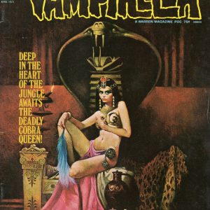 VAMPIRELLA #23 MAGAZINE FROM 1973 AMAZING COVER ART NICE CONDITION