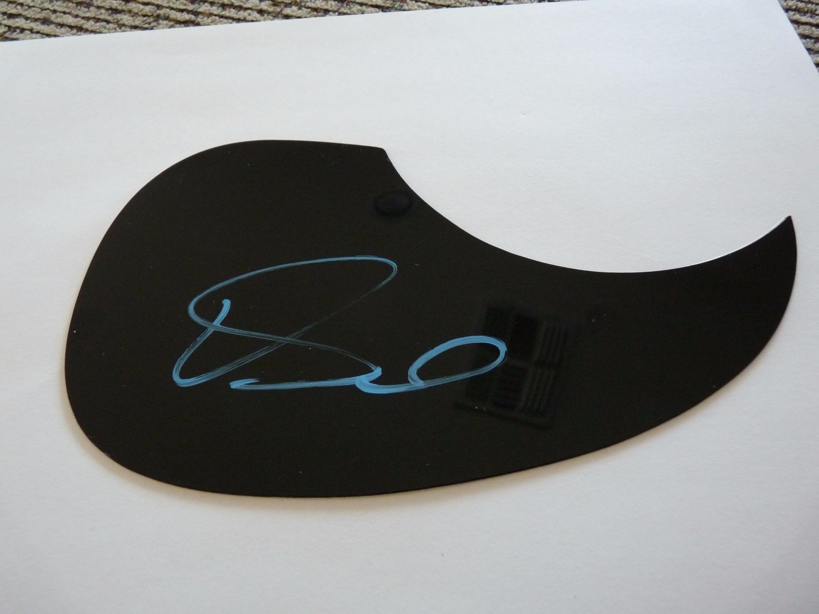 DAVID NAIL SEXY AUTOGRAPHED SIGNED GUITAR PICKGUARD PSA GUARANTEED COLLECTIBLE MEMORABILIA