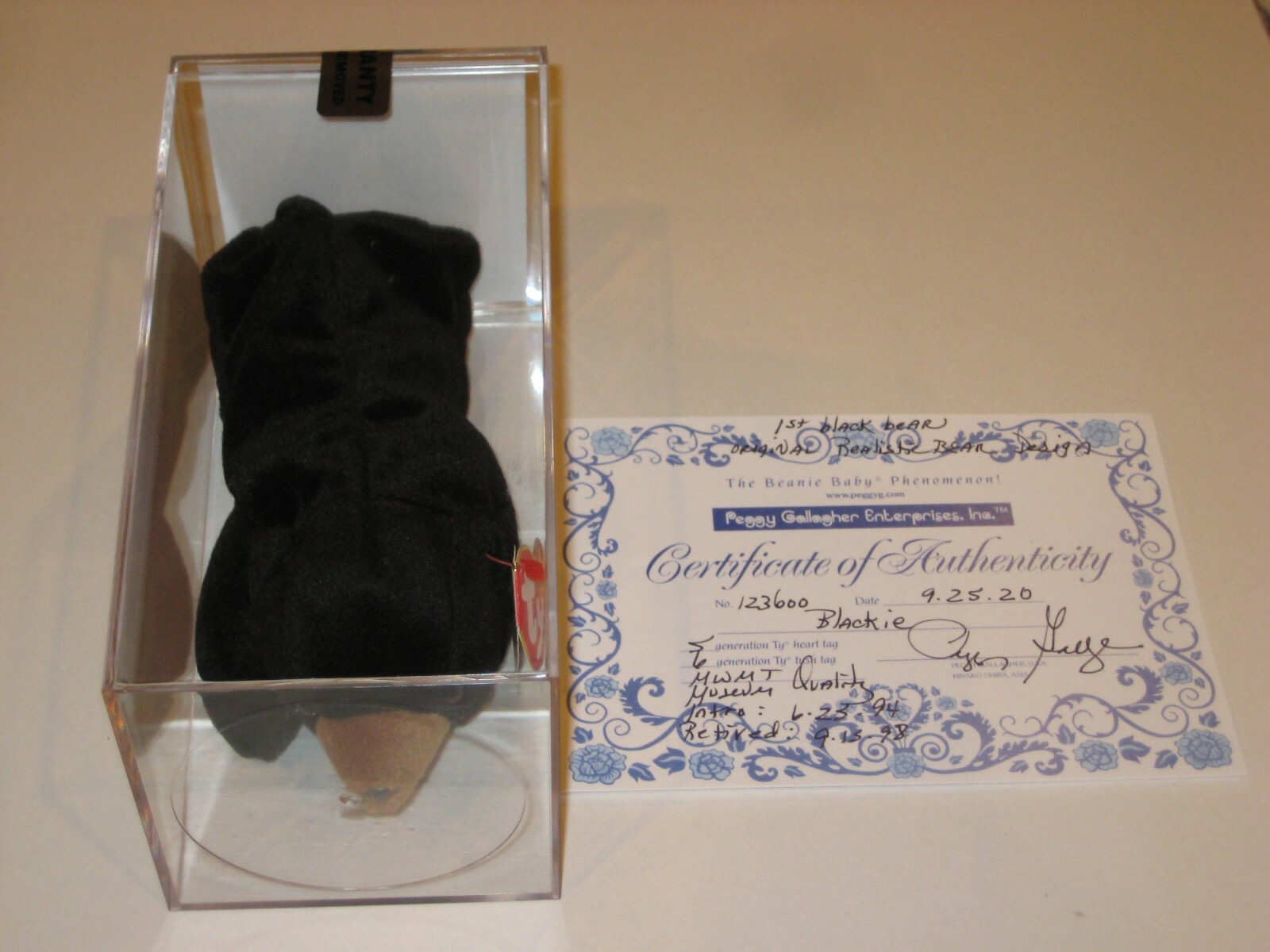 BLACKIE THE BEAR BEANIE BABY 5TH GENERATION MUSEUM QUALITY W/ GALLAGHER COA COLLECTIBLE MEMORABILIA