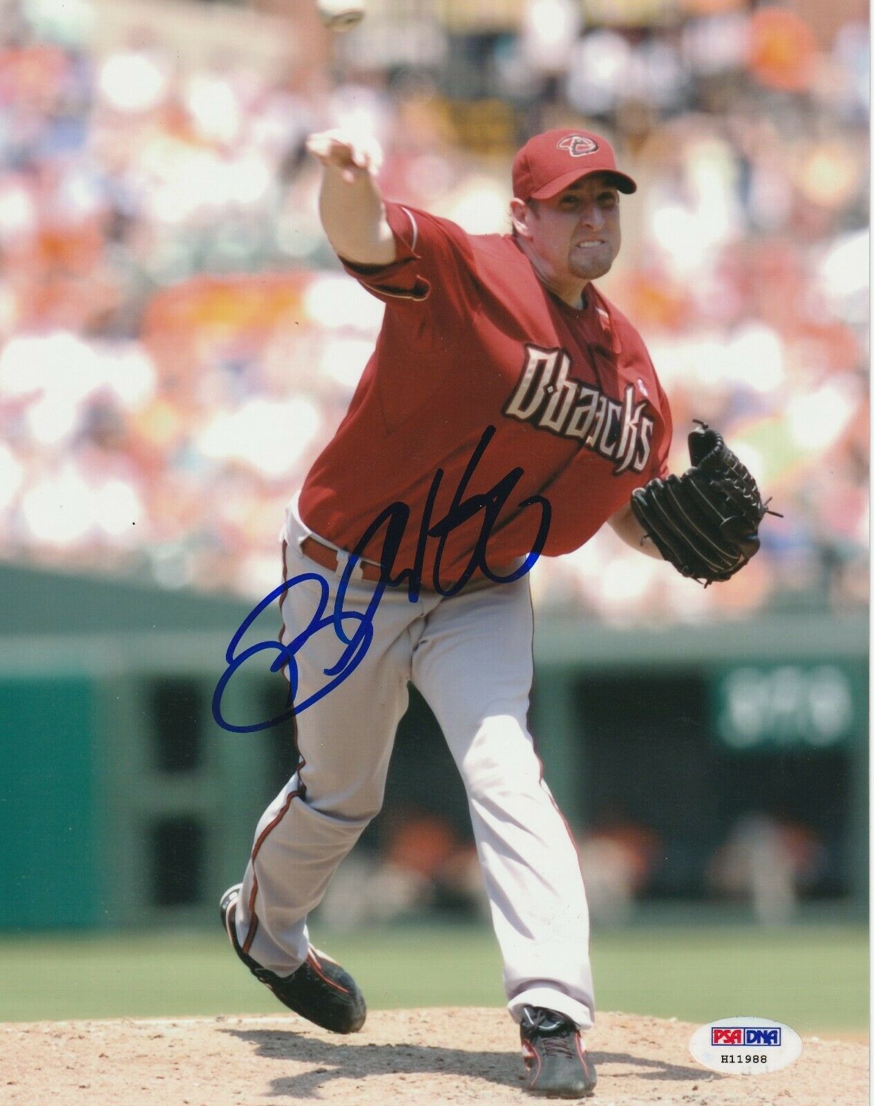 BRANDON WEBB Signed DIAMONDBACKS 8X10 PHOTO with PSA COA | Autographia