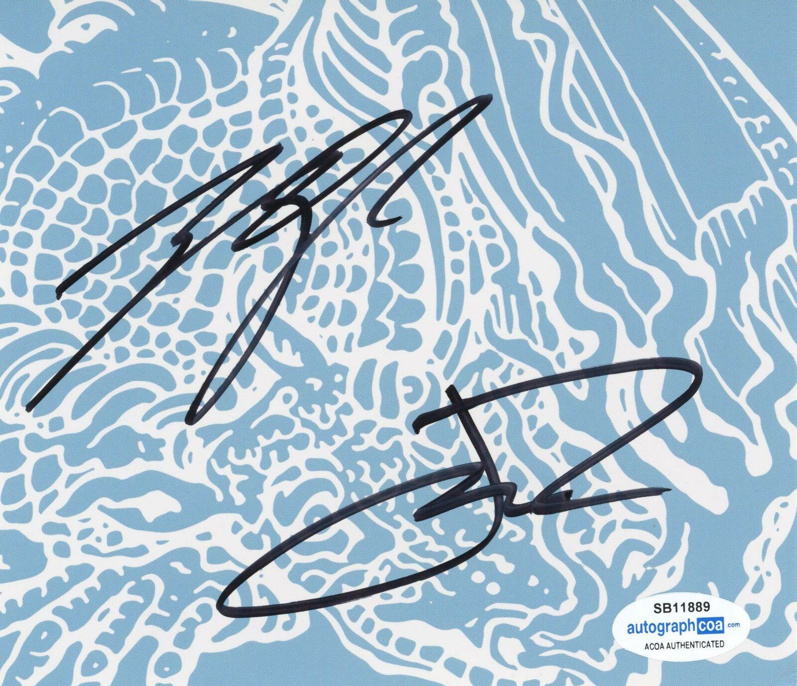 Twenty One Pilots Autogramm skaliert und eisigen CD und signierte Karte tolle Unterschriften 