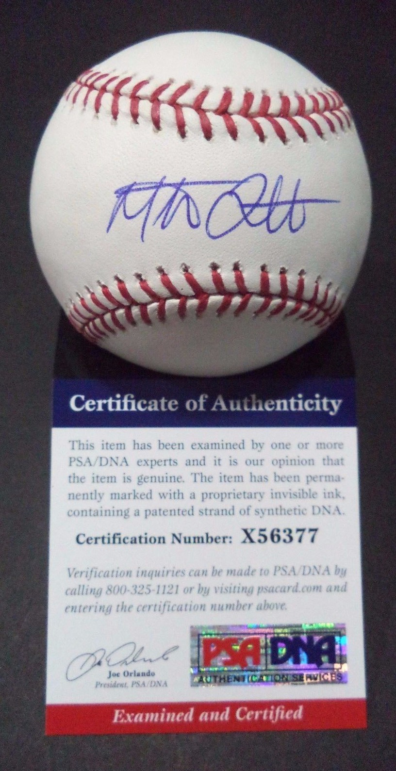 MAT LATOS LOS ANGELES DODGERS SIGNED ROMLB BASEBALL PSA/DNA COA #X56377