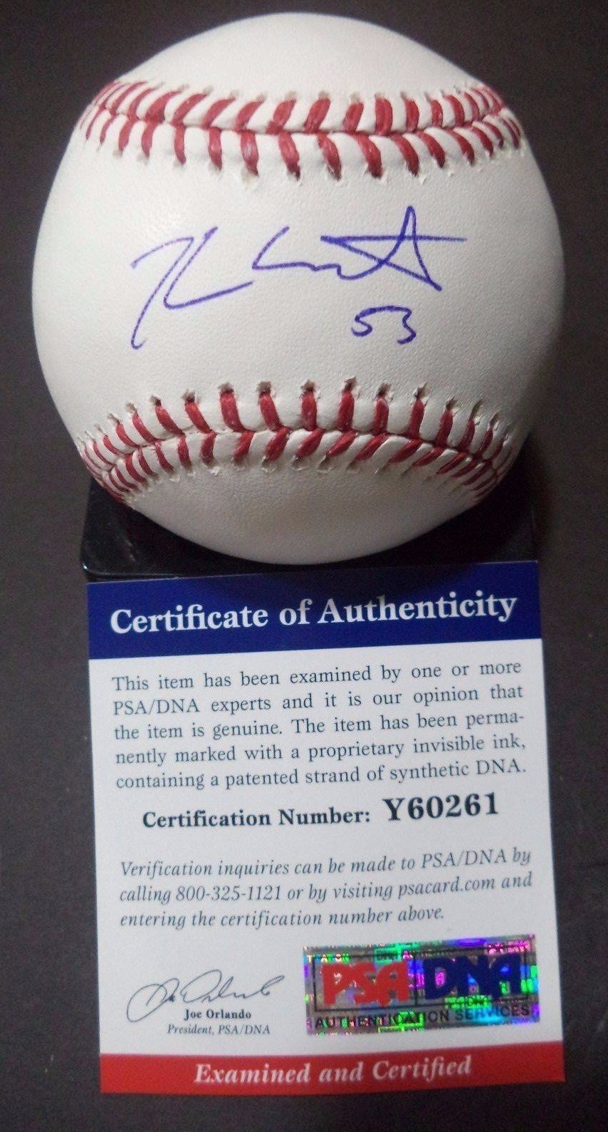 KYLE LOBSTEIN DETROIT TIGERS SIGNED AUTOGRAPH ROMLB BASEBALL PSA/DNA COA #Y60261