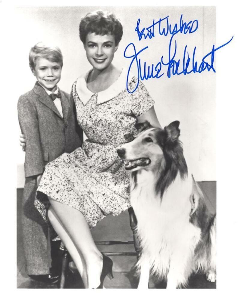 June Lockhart Lassie Actress Legend Signed Autographed 8x10 Photo W Coa Autographia 