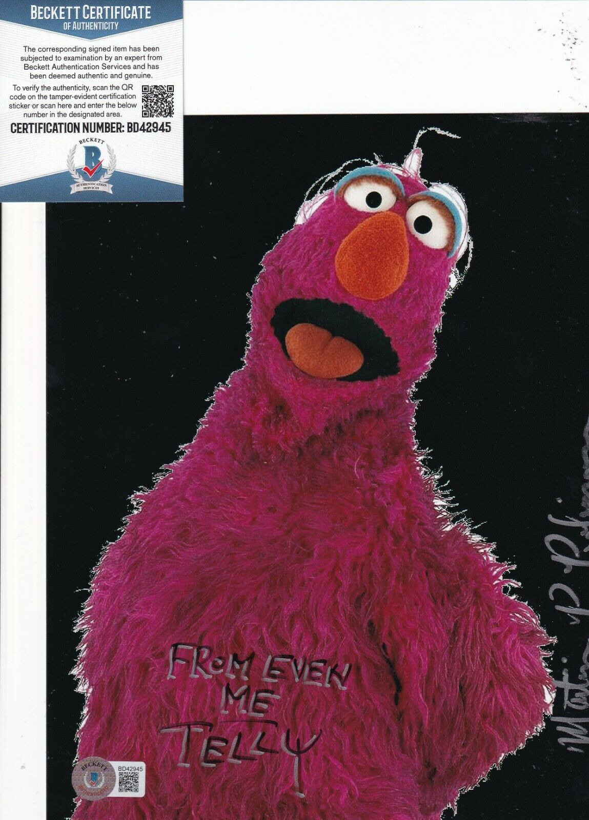 MARTIN P ROBINSON signed (SESAME STREET Telly Monster 8X10 photo ...