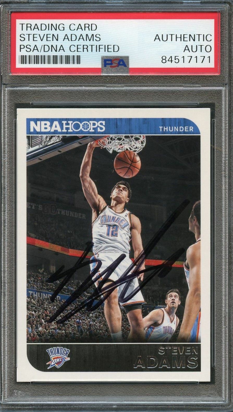 2014-15 NBA Hoops #222 Steven Adams Signed Card Auto PSA/DNA Slabbed Thunder