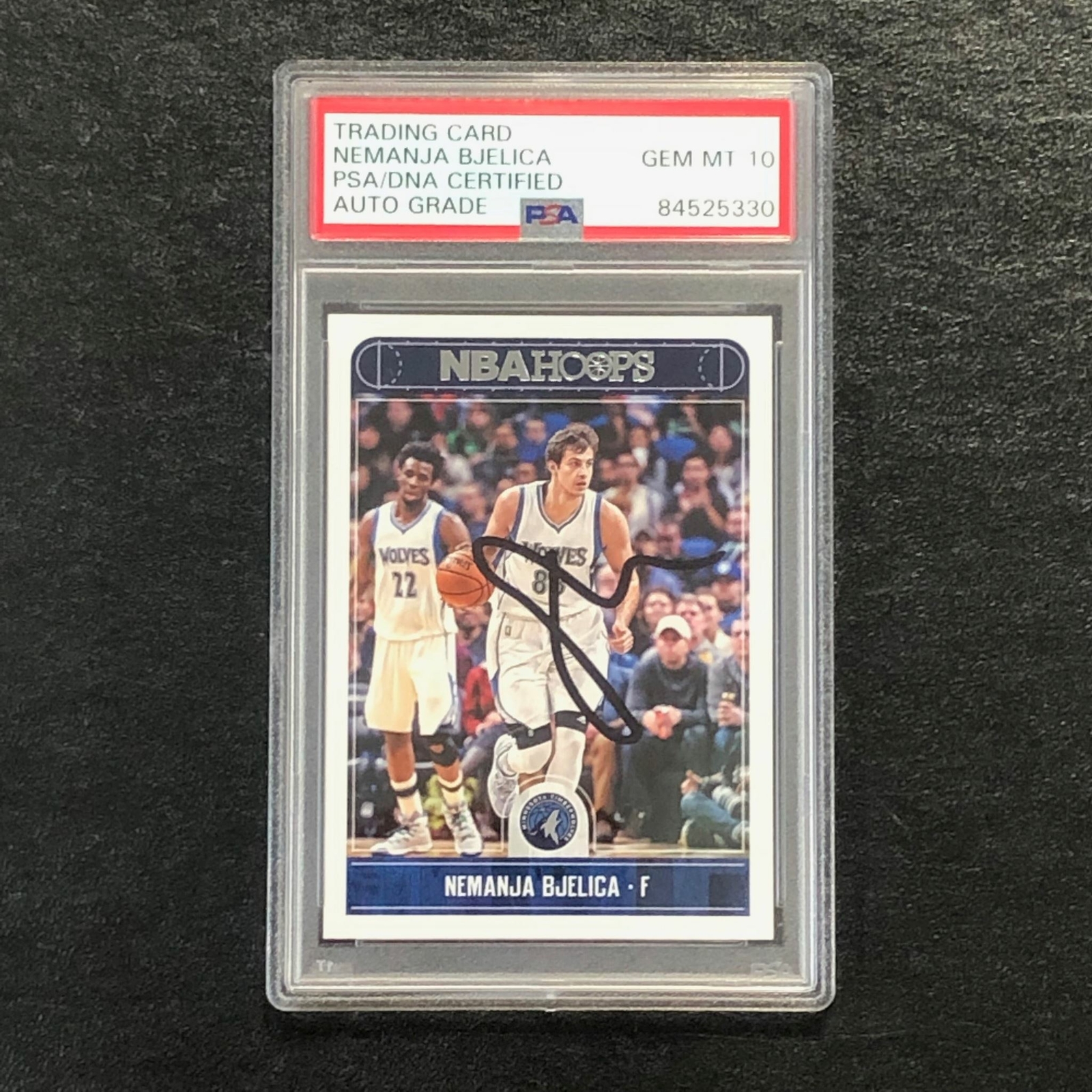 2017-18 NBA Hoops #225 Nemanja Bjelica Signed Card AUTO 10 PSA/DNA Slabbed Timbe