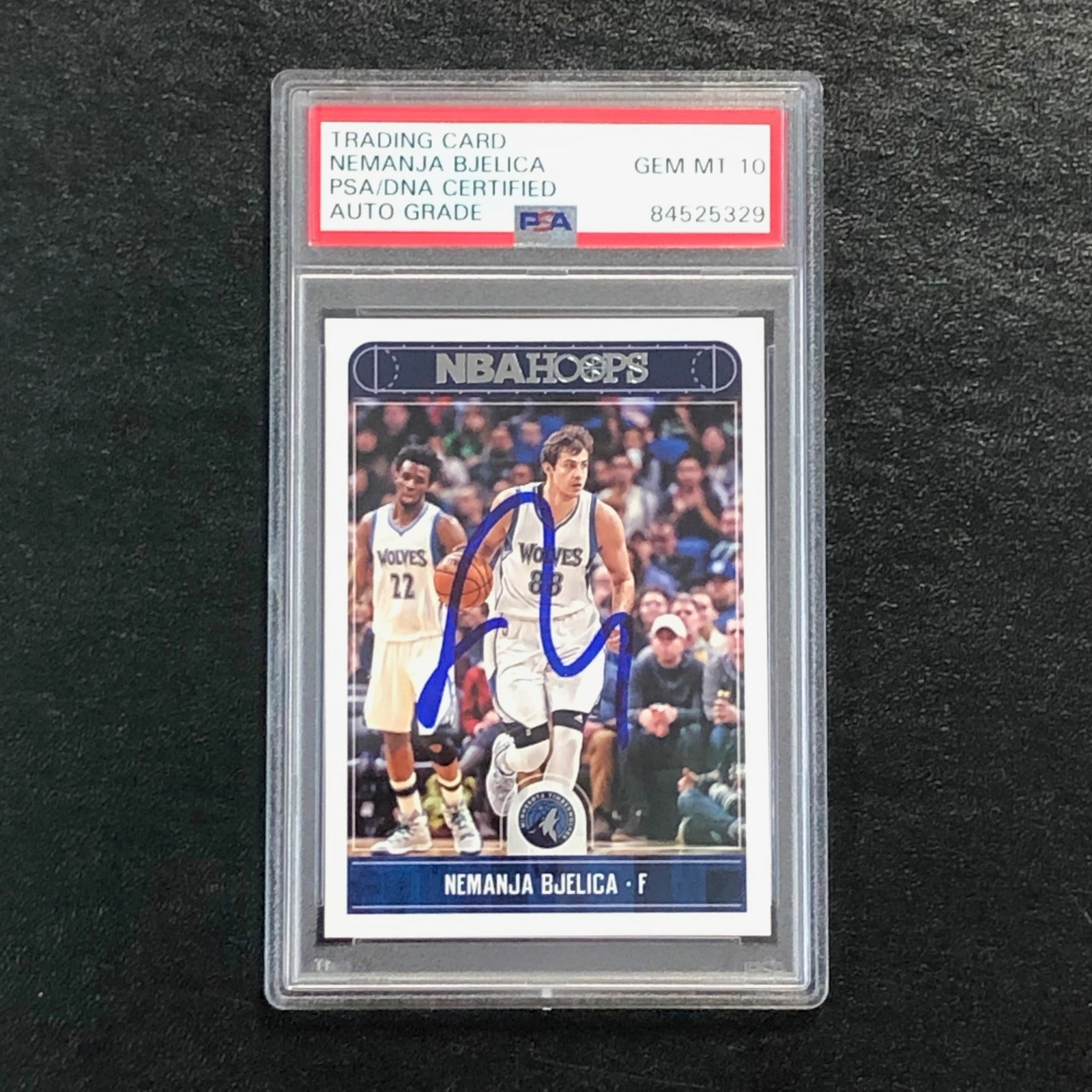 2017-18 NBA Hoops #225 Nemanja Bjelica Signed Card AUTO 10 PSA/DNA Slabbed Timbe