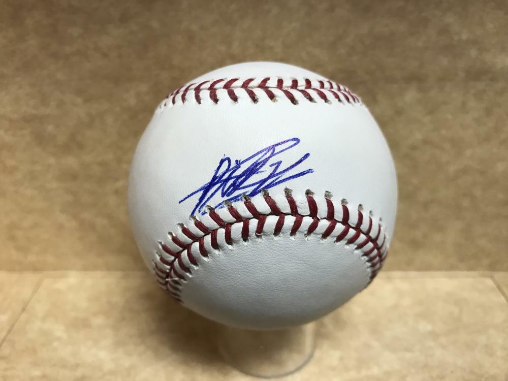 ROBERTO NOVOA DETROIT TIGERS SIGNED AUTOGRAPED M.L. BASEBALL W/ COA