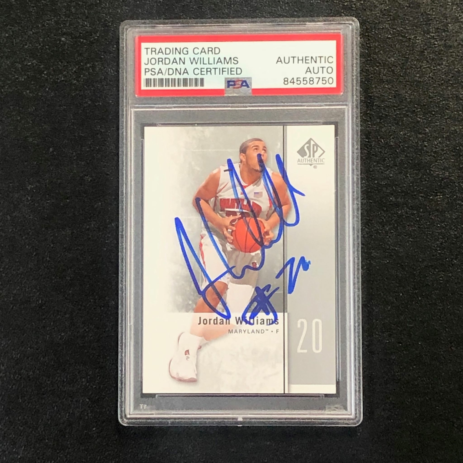 2011-12 SP Authentic #36 Jordan Williams Signed Card AUTO PSA/DNA Slabbed Maryla
