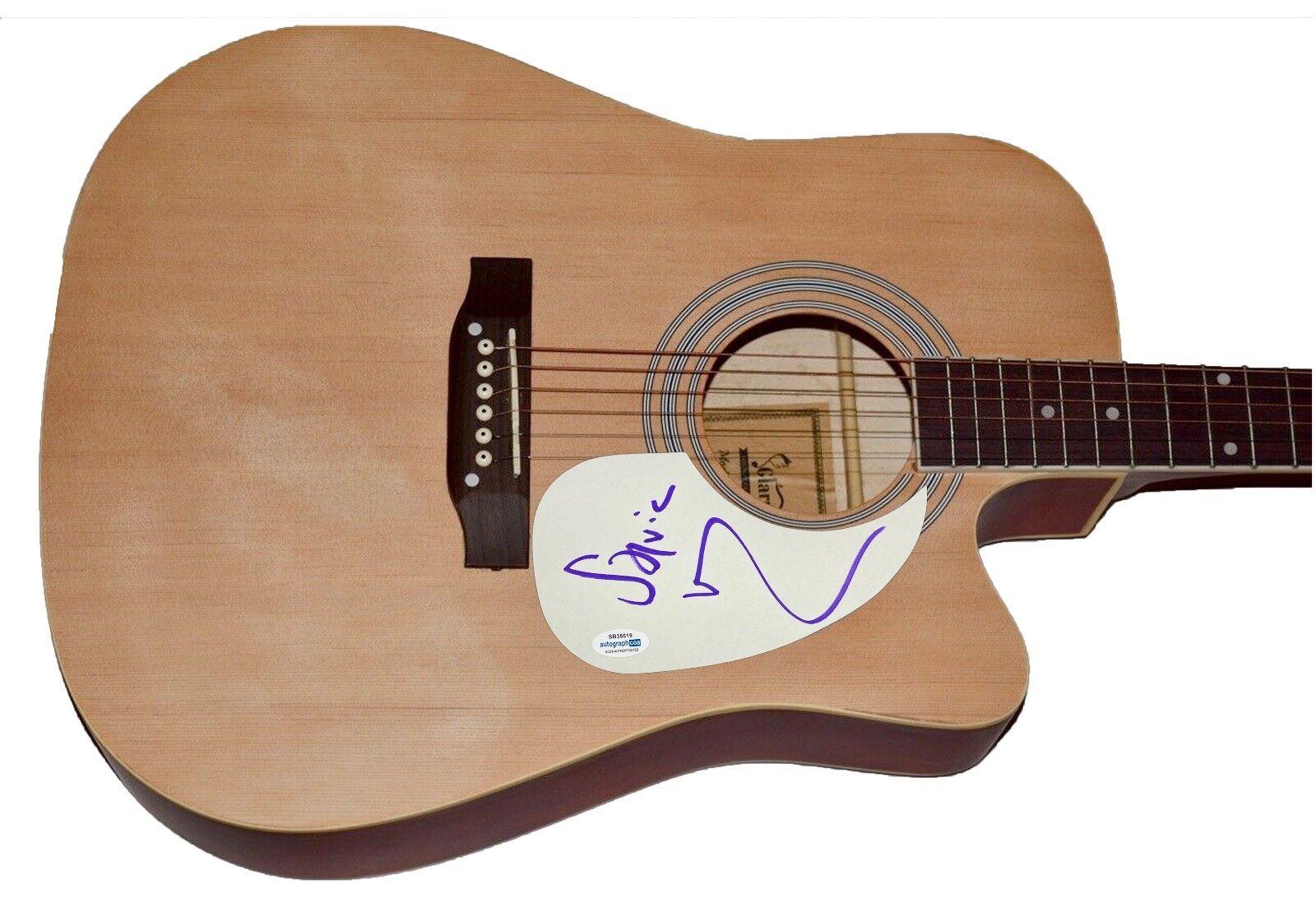 STEVEN VAN ZANDT SIGNED ACOUSTIC GUITAR E STREET BAND BRUCE SPRINGSTEEN ACOA COA COLLECTIBLE MEMORABILIA