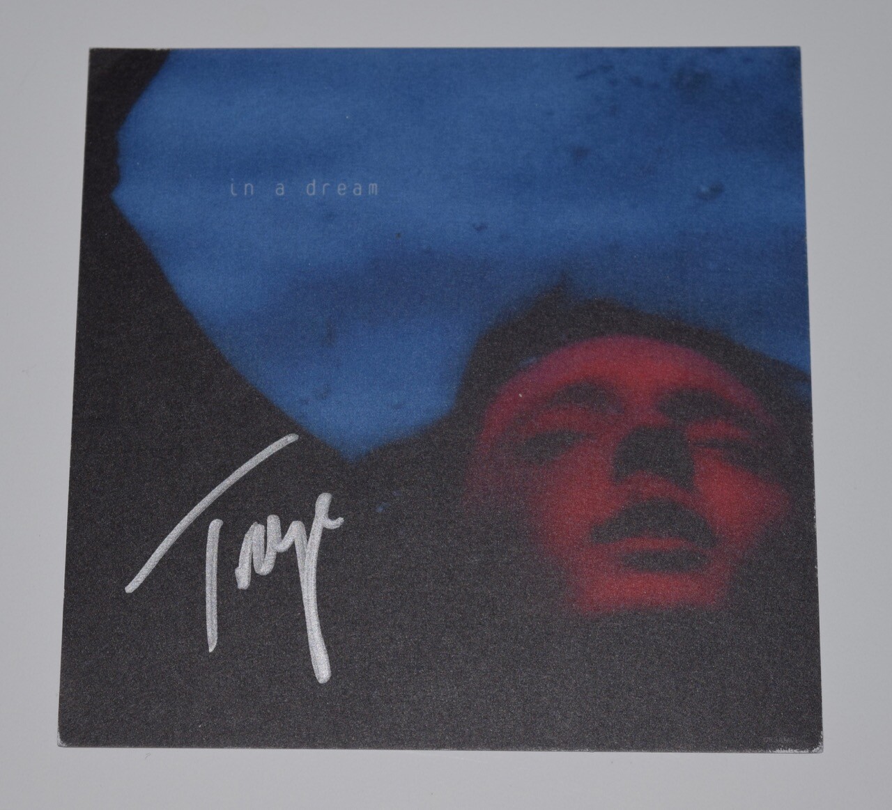 TROYE SIVAN SIGNED AUTOGRAPHED IN A DREAM CD ALBUM COVER ART CARD COA COLLECTIBLE MEMORABILIA