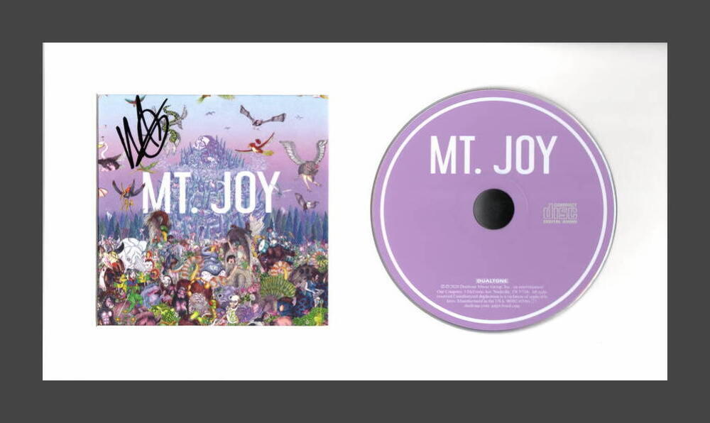 MATT QUINN SIGNED AUTOGRAPH MT JOY REARRANGE US FRAMED CD DISPLAY READY TO HANG!