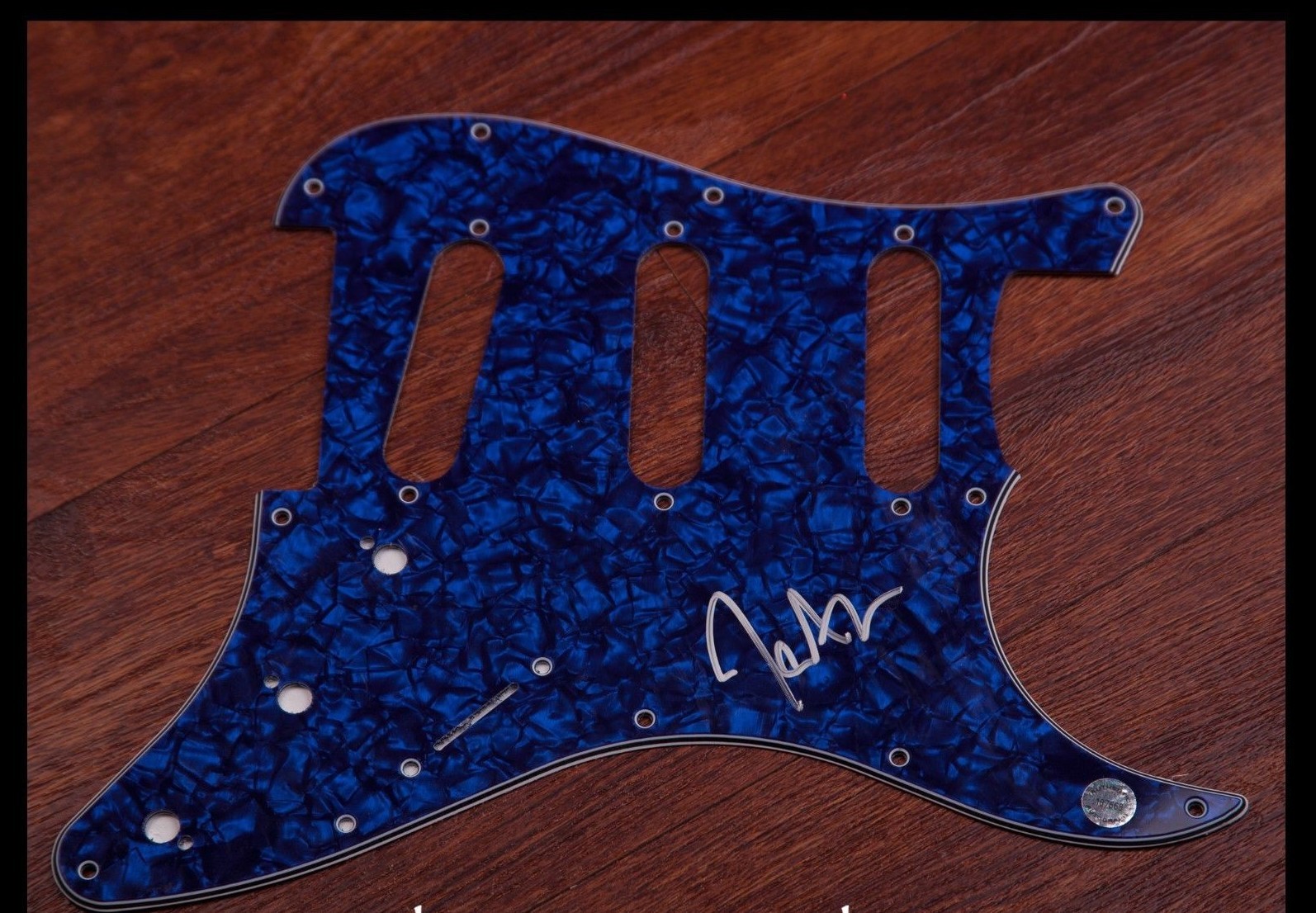 GFA No Doubt Rock Band * TONY KANAL * Signed Electric Pickguard PROOF AD1 COA