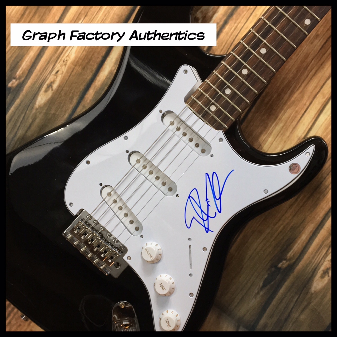 GFA Cheap Trick Frontman * ROBIN ZANDER * Signed Electric Guitar Z3 COA