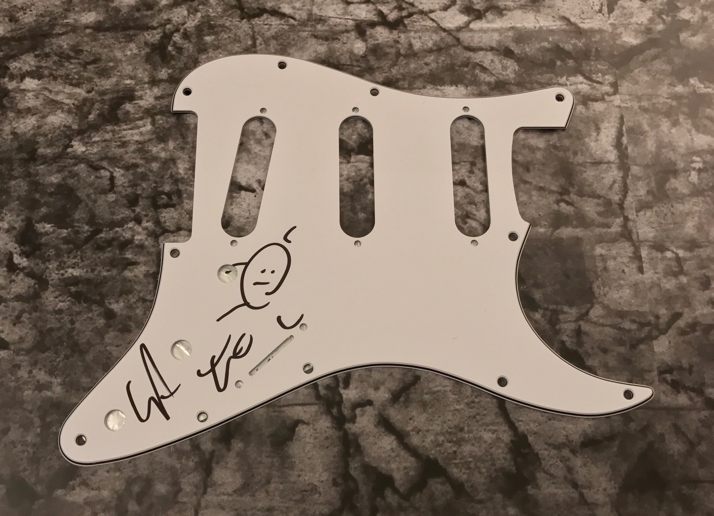 GFA The Flaming Lips * WAYNE COYNE * Signed Electric Guitar Pickguard AD1 COA