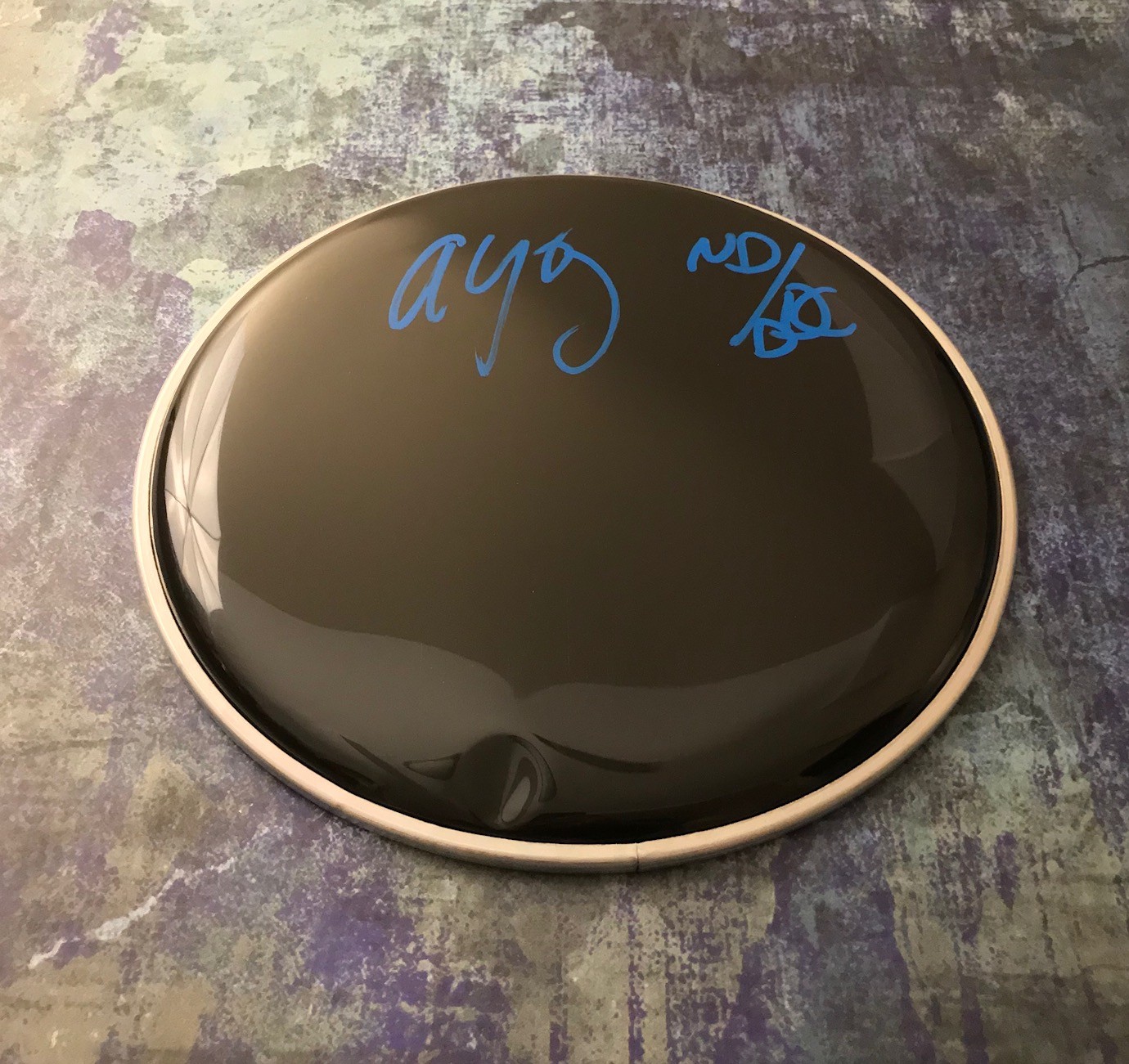 GFA No Doubt Drummer * ADRIAN YOUNG * Signed Autograph 10