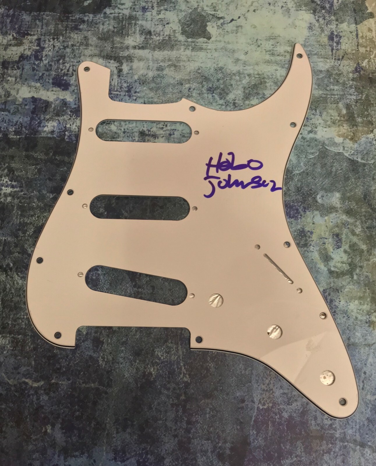 GFA The Fall and Rise of * HOBO JOHNSON * Signed Electric Pickguard PROOF COA